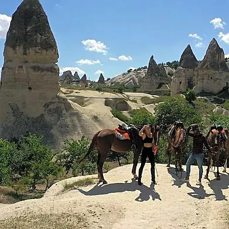 Отель Mak's Cave House